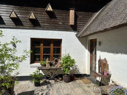 IMG_0249